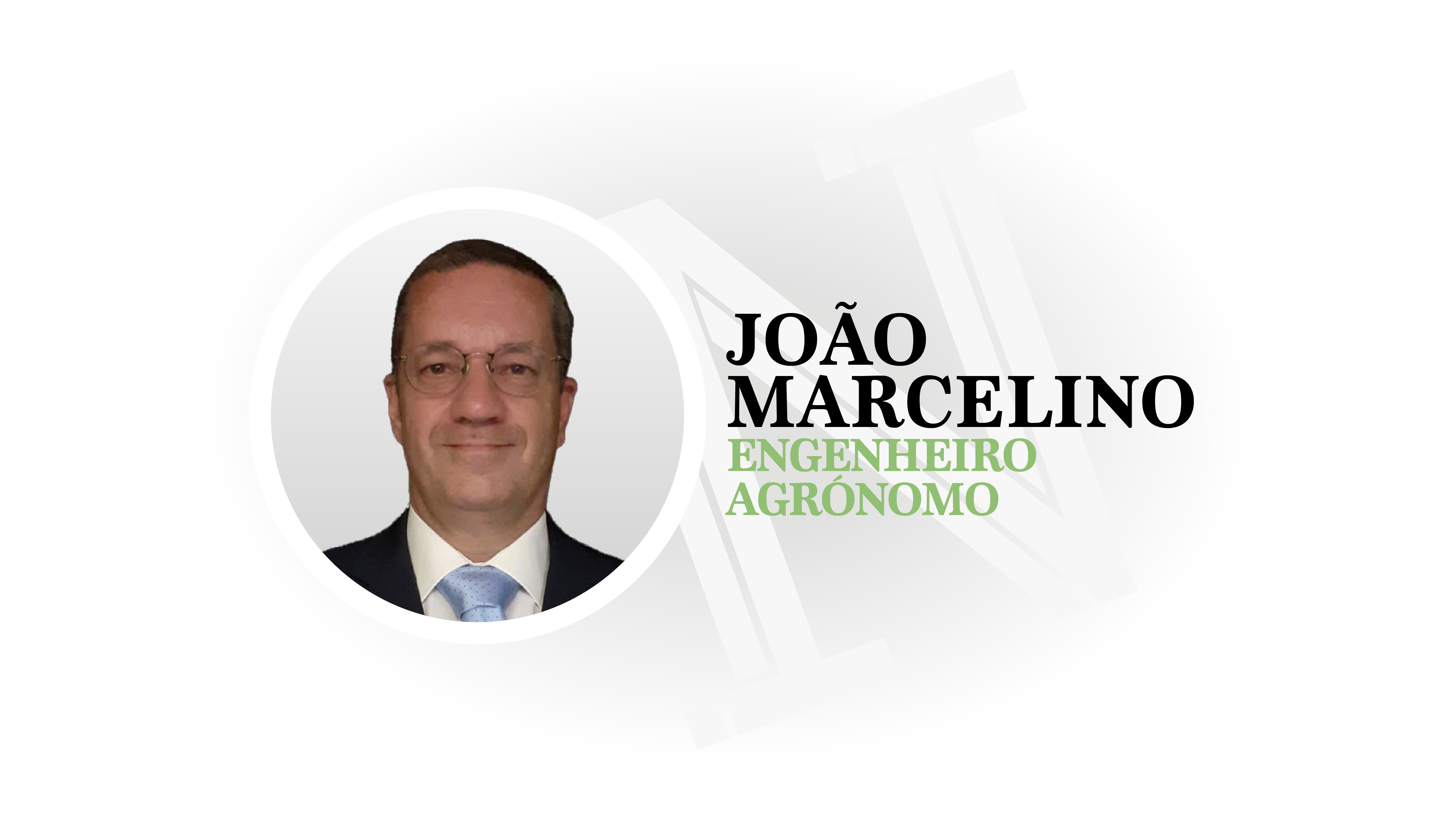 João Marcelino - Engenheiro Agrónomo