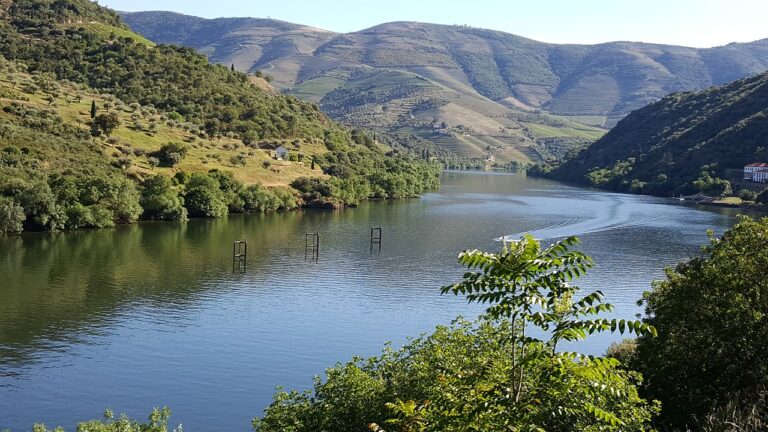 douro-river-5139525_1280