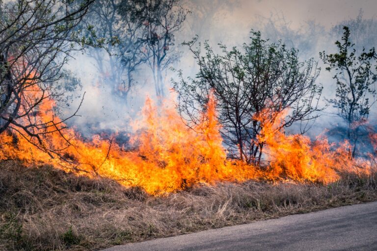  incêndios