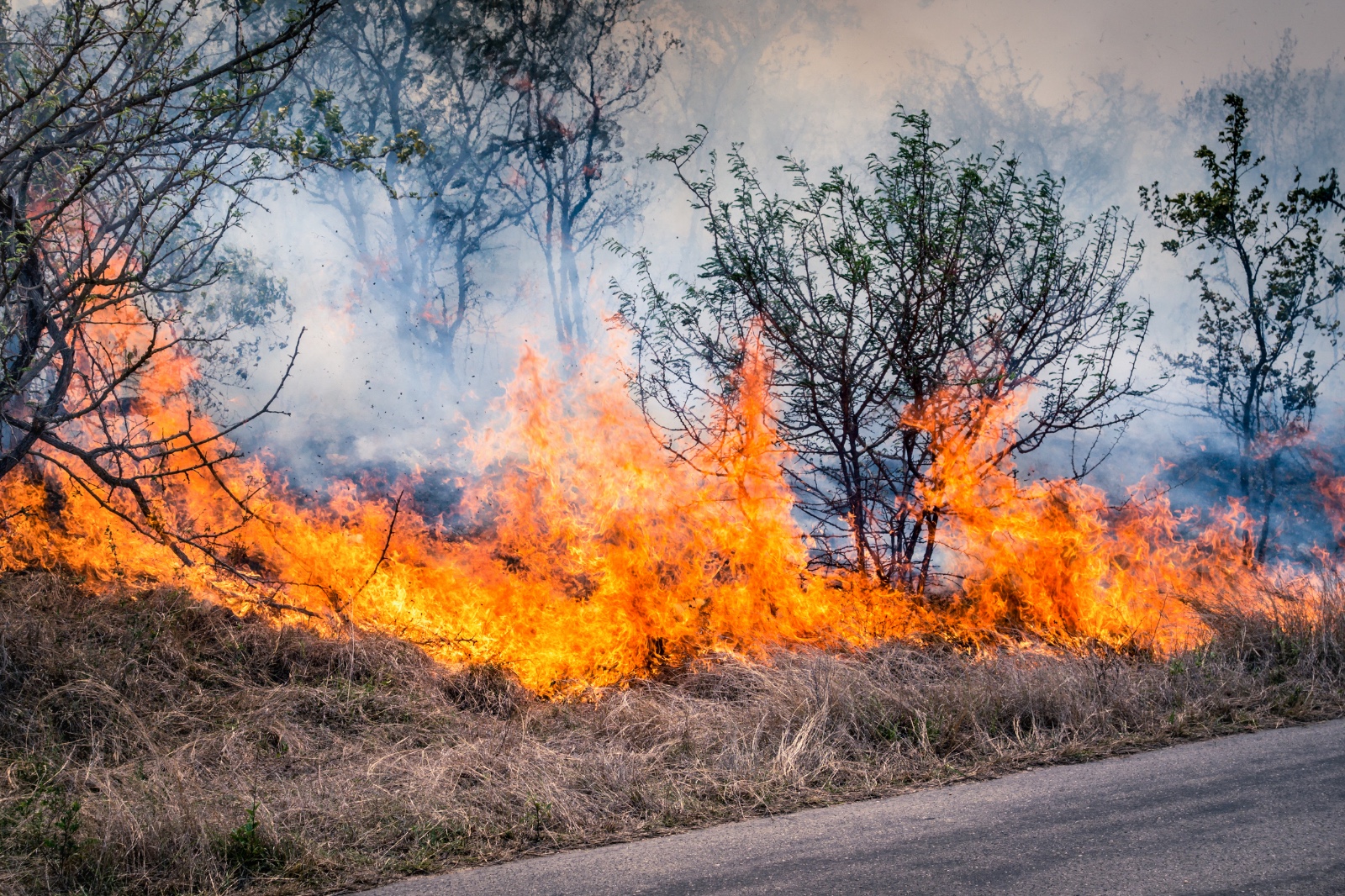 incêndios