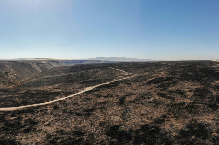 Incendio - Fogos - Zona Ardida