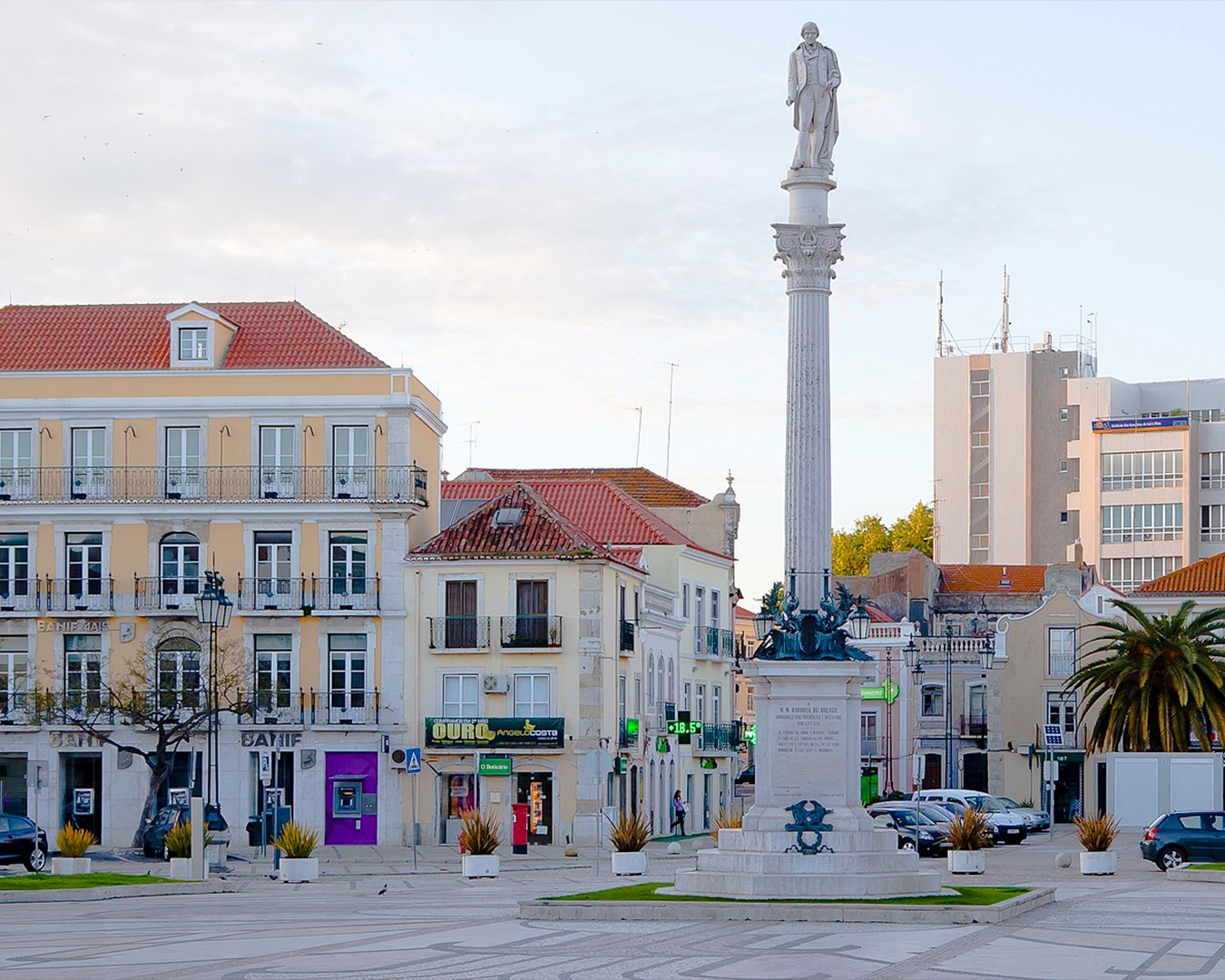 WhatsApp Image 2025-12-11 at 11.33