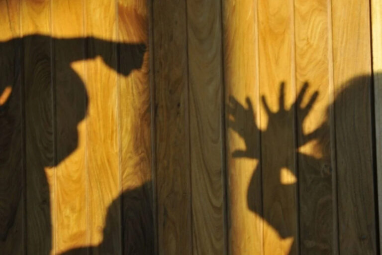 VIOLENCIA DOMESTICA