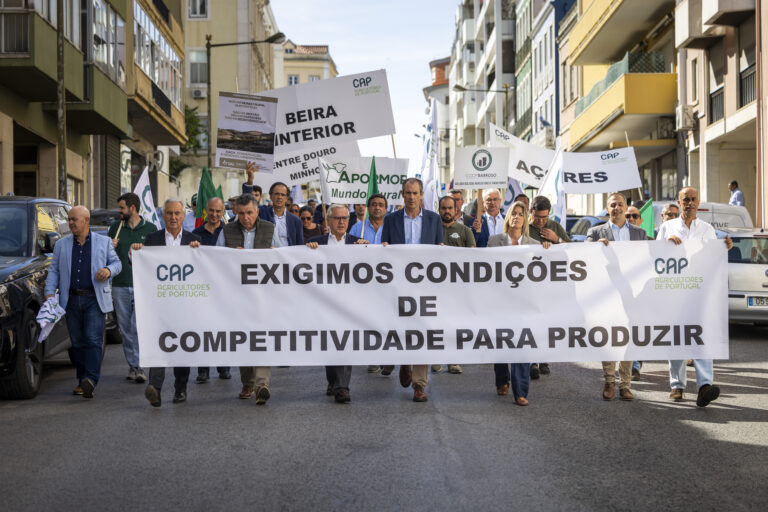 Concentração de associações agroflorestais em frente à Assembleia da República